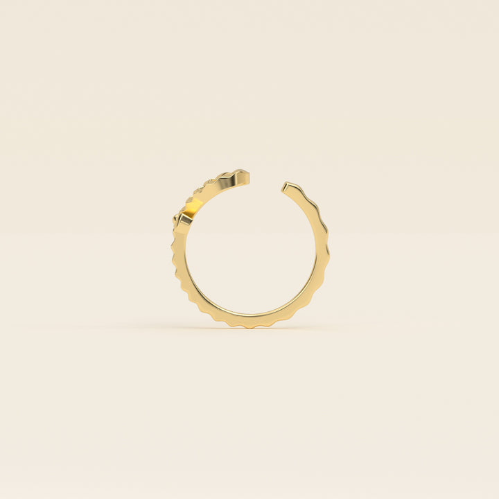 Ankh — Ripple Ring — 18k Yellow Gold